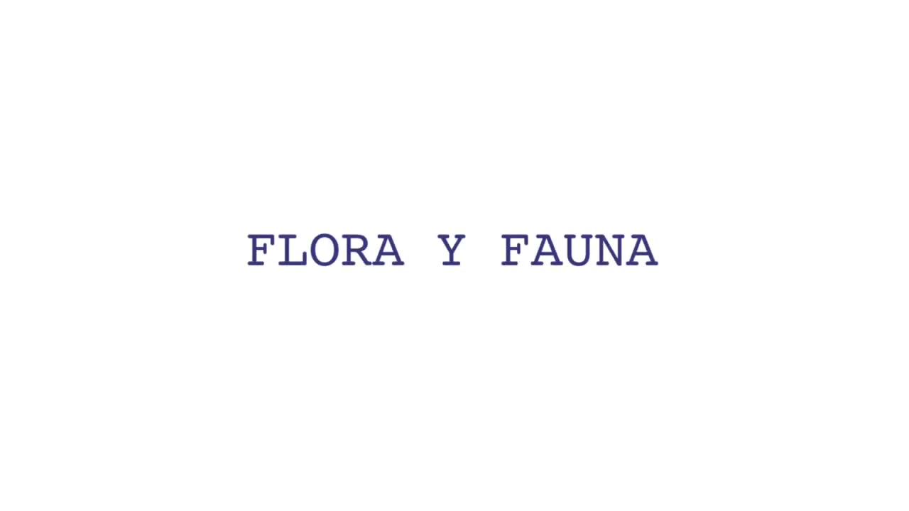 Flora y Fauna